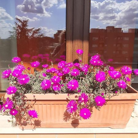 ティヴォリ・テルメ L'Orchidea Di Ale Bed & Breakfast エクステリア 写真