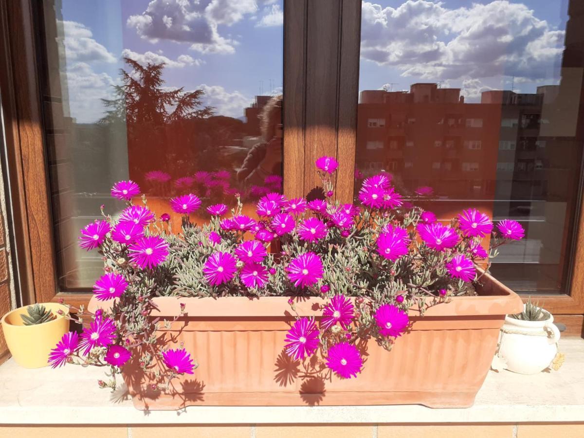 ティヴォリ・テルメ L'Orchidea Di Ale Bed & Breakfast エクステリア 写真