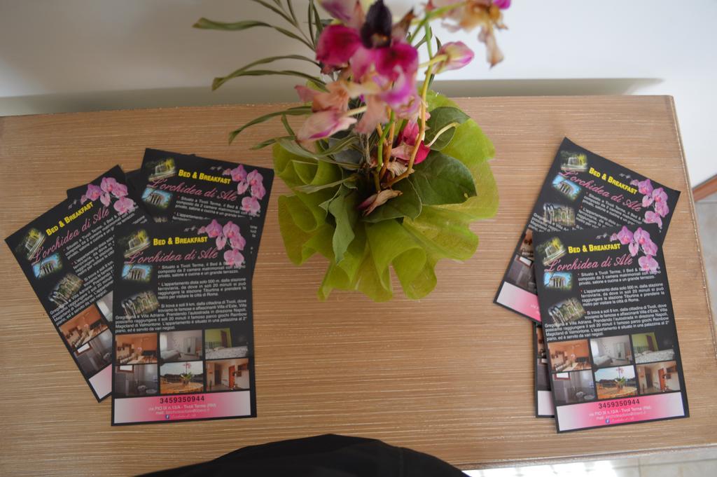 ティヴォリ・テルメ L'Orchidea Di Ale Bed & Breakfast エクステリア 写真