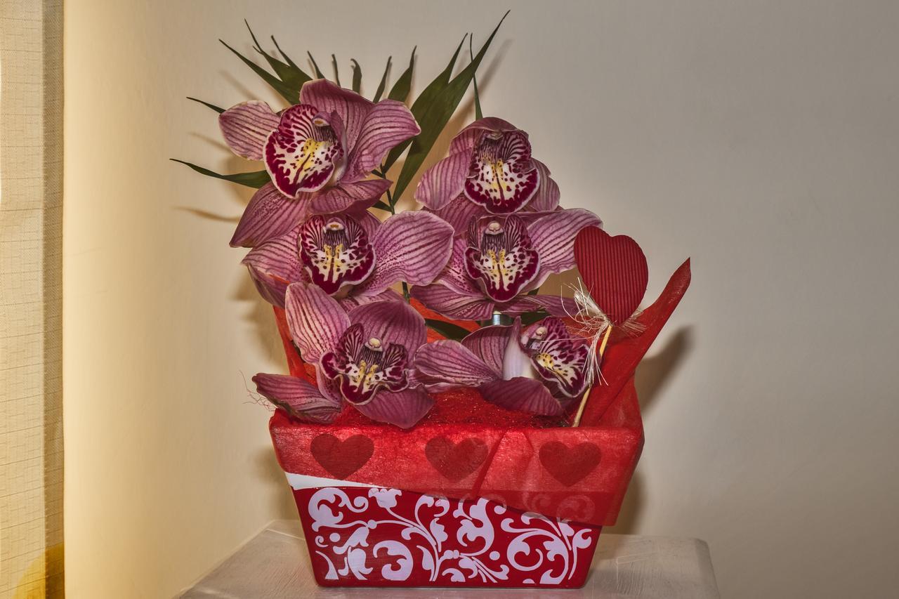 ティヴォリ・テルメ L'Orchidea Di Ale Bed & Breakfast エクステリア 写真
